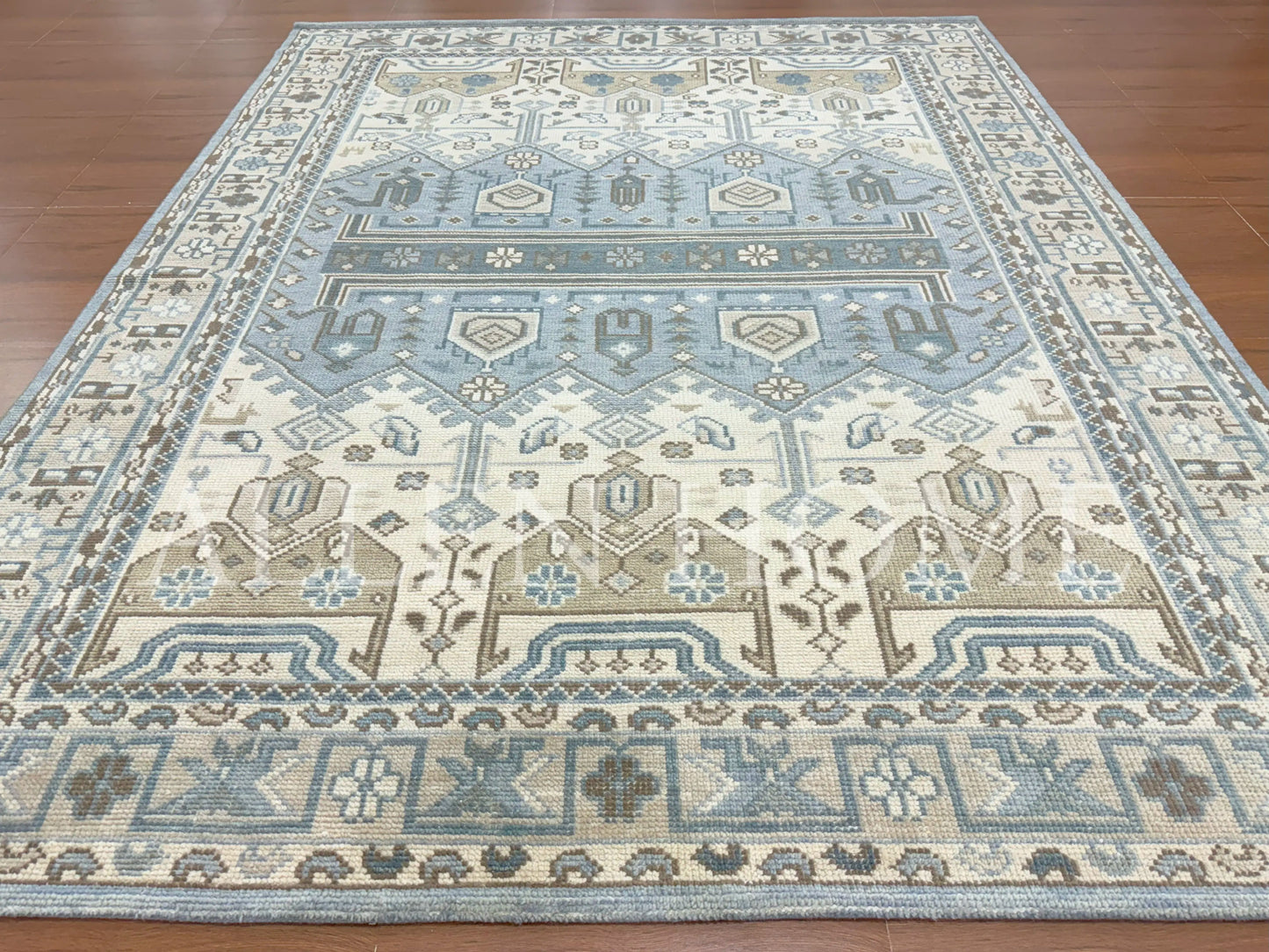 Nicolette Hand Knotted Wool Area Rug