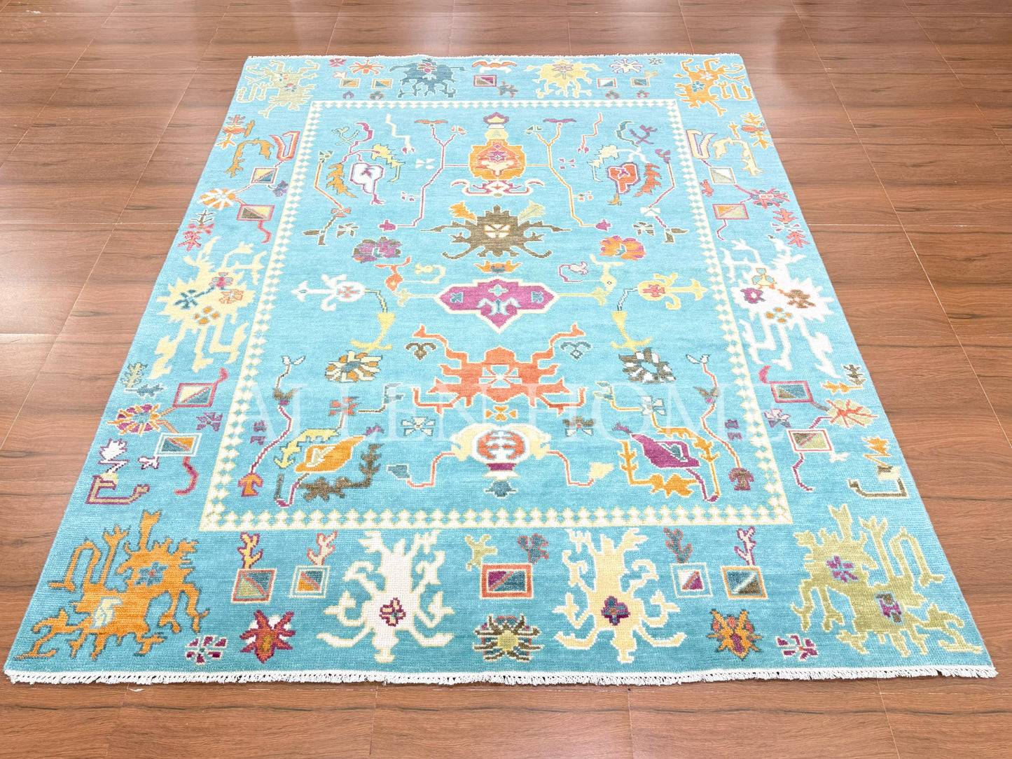 Beatrix Hand Knotted Wool Area Rug